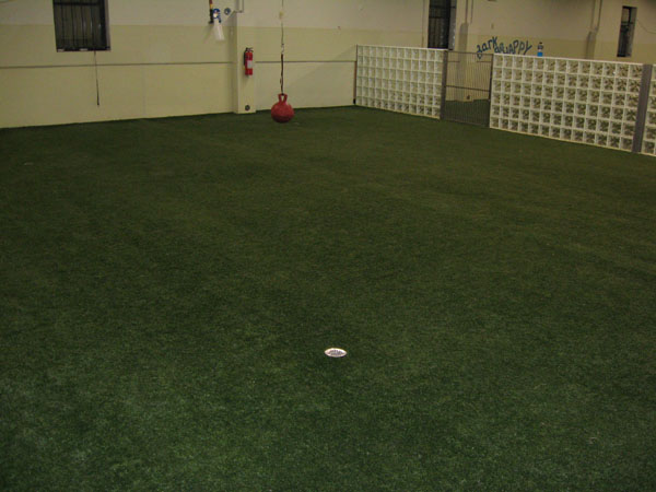 Indoor K9 Grass with Drainage System
